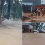 [Aggregator] Downloaded image for imported item #52541