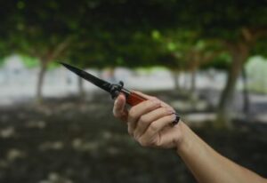 [Aggregator] Downloaded image for imported item #47945