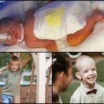 [Aggregator] Downloaded image for imported item #13162