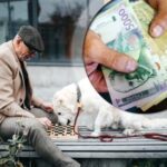 [Aggregator] Downloaded image for imported item #40776