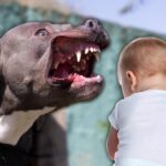 [Aggregator] Downloaded image for imported item #52072