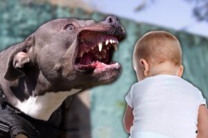 [Aggregator] Downloaded image for imported item #52072