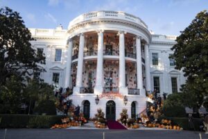 [Aggregator] Downloaded image for imported item #47615