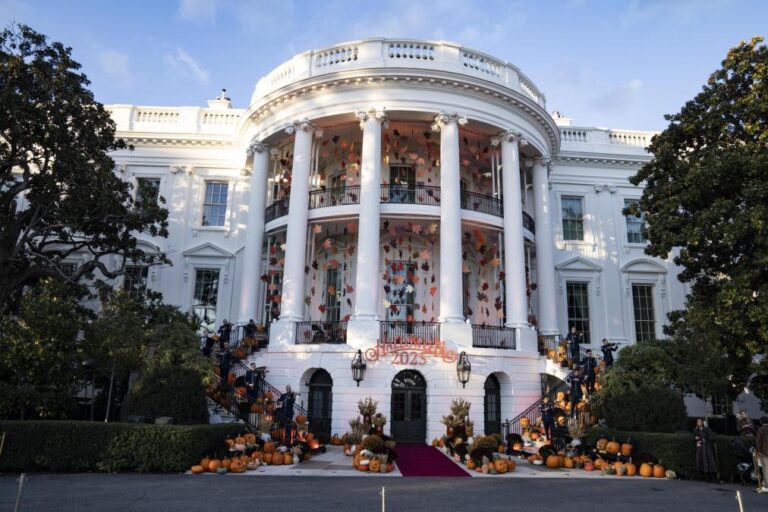 [Aggregator] Downloaded image for imported item #47615