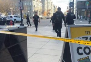 [Aggregator] Downloaded image for imported item #42940