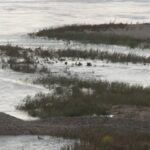 [Aggregator] Downloaded image for imported item #43589