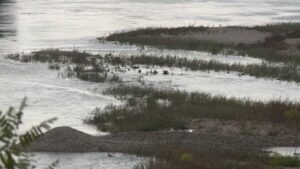 [Aggregator] Downloaded image for imported item #43589