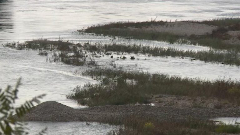 [Aggregator] Downloaded image for imported item #43589