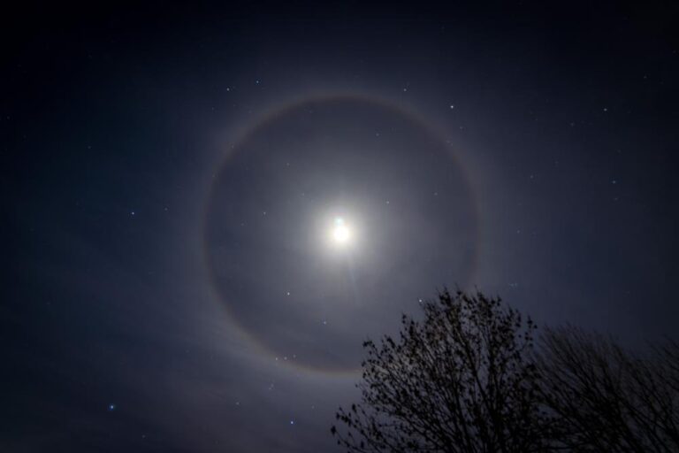 [Aggregator] Downloaded image for imported item #47408