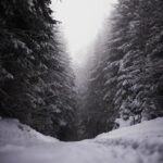 [Aggregator] Downloaded image for imported item #49728