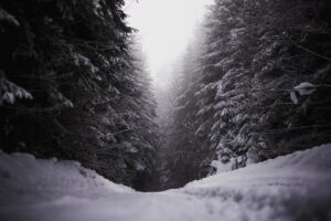 [Aggregator] Downloaded image for imported item #49728