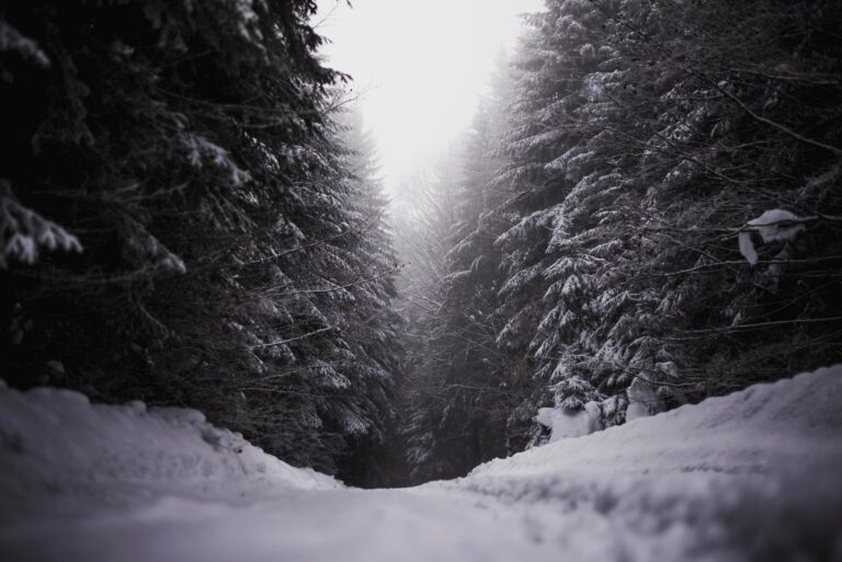 [Aggregator] Downloaded image for imported item #49728