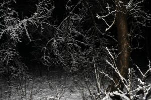 [Aggregator] Downloaded image for imported item #34412