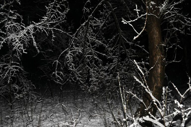 [Aggregator] Downloaded image for imported item #34412