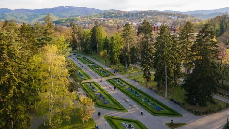 [Aggregator] Downloaded image for imported item #38426