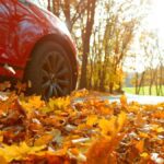 Stručnjak za saobraćaj upozorava vozače: Evo šta je tokom jeseni najopasnije na putevima! "Većina to previdi" shutterstock 2222406135