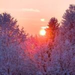 [Aggregator] Downloaded image for imported item #30213