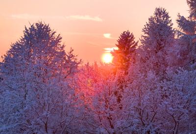 [Aggregator] Downloaded image for imported item #30213