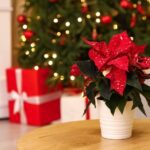 [Aggregator] Downloaded image for imported item #31685