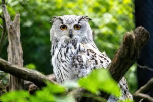 shutterstock 2643843737