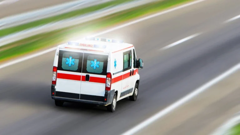 shutterstock 343473242 e1741022887106