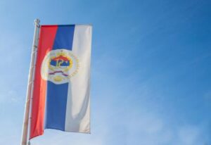 [Aggregator] Downloaded image for imported item #31065