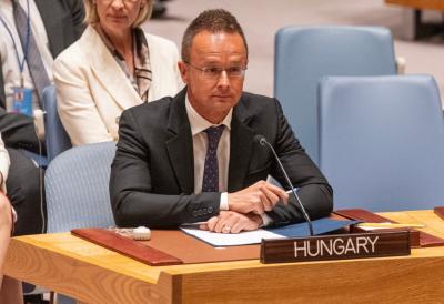 [Aggregator] Downloaded image for imported item #44412