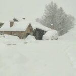 [Aggregator] Downloaded image for imported item #43886