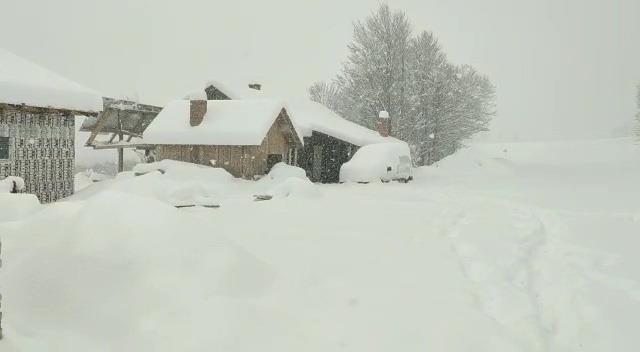 [Aggregator] Downloaded image for imported item #43886