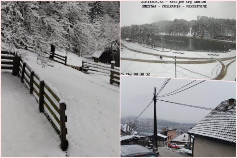 [Aggregator] Downloaded image for imported item #44516