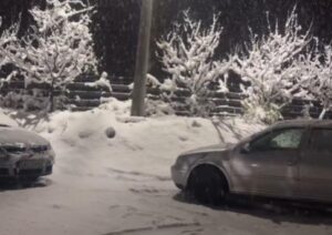 [Aggregator] Downloaded image for imported item #47484