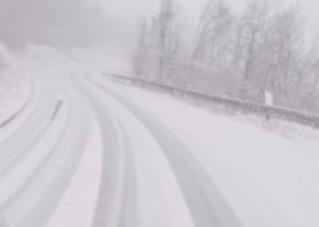 [Aggregator] Downloaded image for imported item #31864