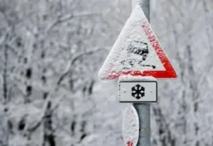 [Aggregator] Downloaded image for imported item #45232