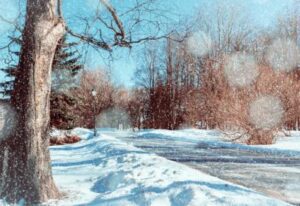 [Aggregator] Downloaded image for imported item #39999