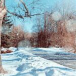 [Aggregator] Downloaded image for imported item #39997