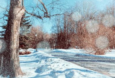 [Aggregator] Downloaded image for imported item #39997