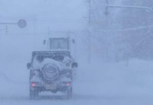 [Aggregator] Downloaded image for imported item #42928