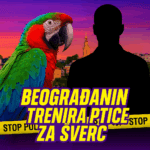 PAPAGAJI KAO KURIRI? PRIJAVLJEN STEFAN DOMOVSKI! Stefan Dimovski trenira ptice za šverc nedozvoljenim supstancama. Takodje švercuje egzotične ptice