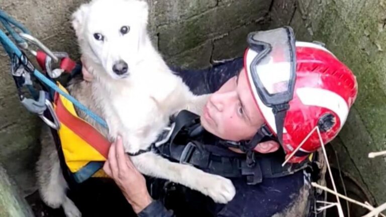 stene spaseno bunar Topolovnik