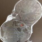 [Aggregator] Downloaded image for imported item #34347