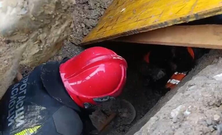 [Aggregator] Downloaded image for imported item #38423