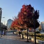 [Aggregator] Downloaded image for imported item #32118