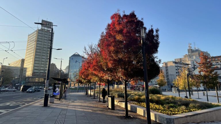 [Aggregator] Downloaded image for imported item #32118