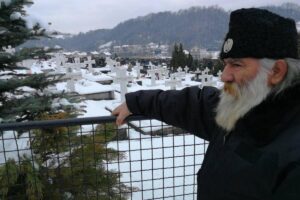 [Aggregator] Downloaded image for imported item #34378