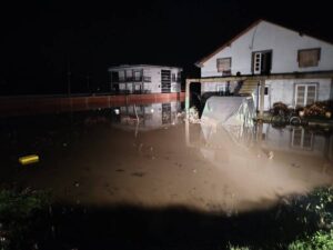 vranje.org .rs585421565 1715159279409558 7910487321095395122 n