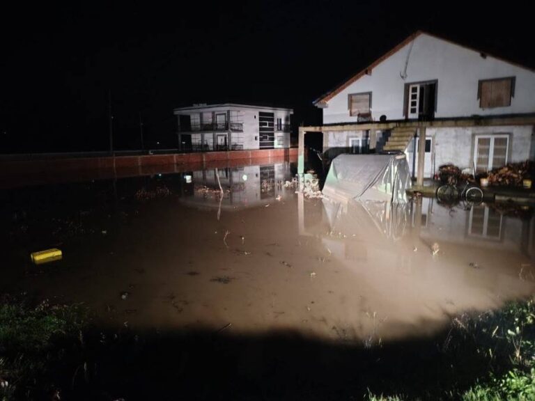 vranje.org .rs585421565 1715159279409558 7910487321095395122 n