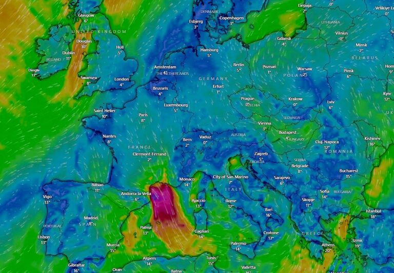 [Aggregator] Downloaded image for imported item #41097