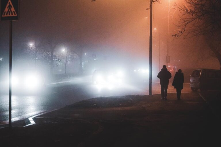 x02 News1 Nenad Kostic