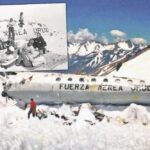 [Aggregator] Downloaded image for imported item #62009