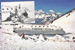 [Aggregator] Downloaded image for imported item #62009